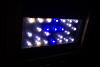 70 gallon aquarium white LED.jpg